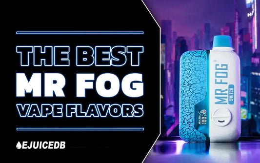 Blog The Best MR FOG Flavors