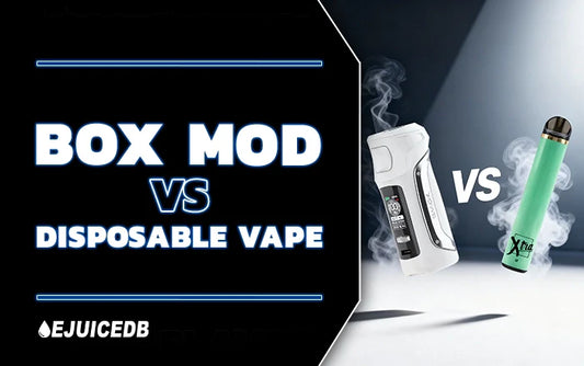 Blog Box Mod vs Disposable Vape