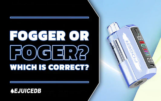Blog Fogger or Foger? Which Is Correct?