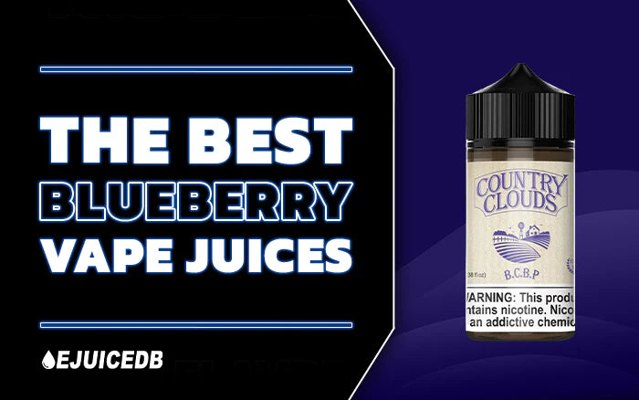 Blog The Best Blueberry Vape Juices