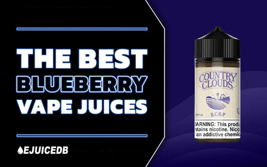 Blog The Best Blueberry Vape Juices