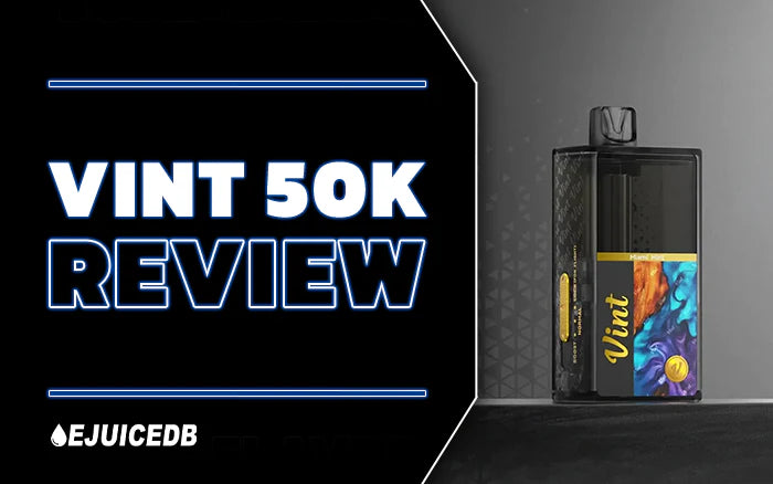Blog VINT 50K Review