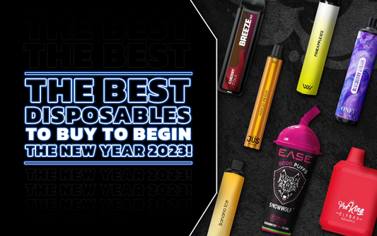 Best Disposable Vapes