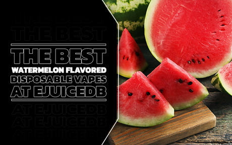 The Best Watermelon Flavored Disposable Vapes at eJuiceDB