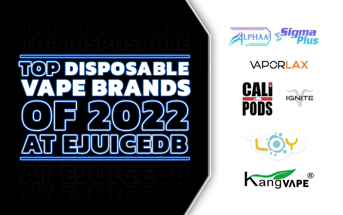 Top Disposable Vape Brands of 2022 at eJuiceDB