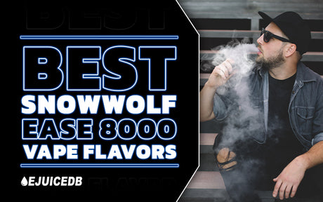 Best SnowWolf Ease 8000 Vape Flavors