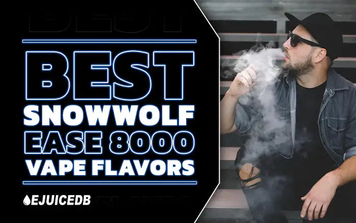 Blog Best SnowWolf Ease 8000 Flavors