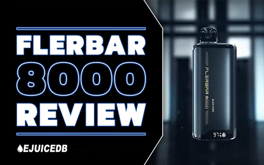 FLERBAR 8000 Review