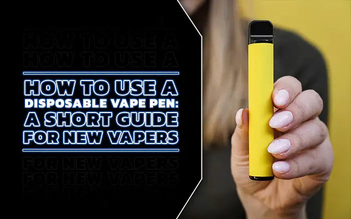Blog How To Use a Disposable Vape