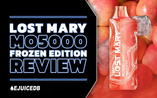 Blog Lost Mary MO5000 Frozen Edition Review