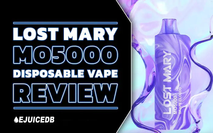 Blog Lost Mary MO5000 Review