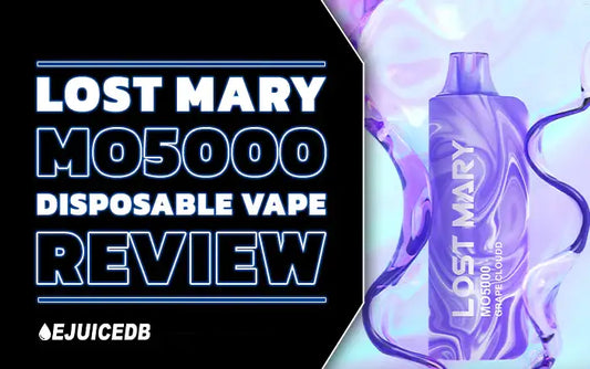 Blog Lost Mary MO5000 Review