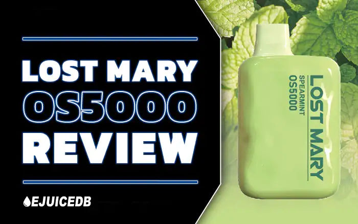 Blog Lost Mary OS5000 Review