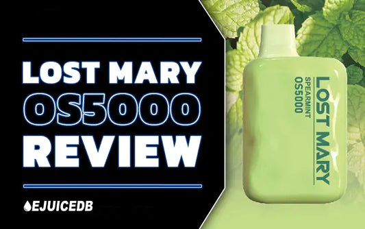 Blog Lost Mary OS5000 Review