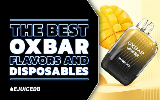 Blog OXBAR Vape Review