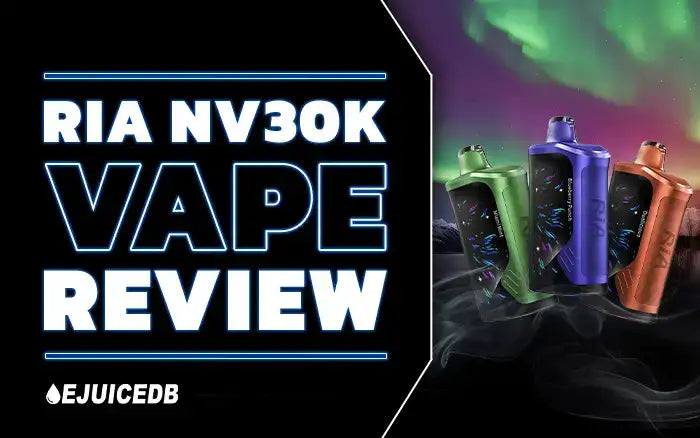 Blog RIA Vape Review