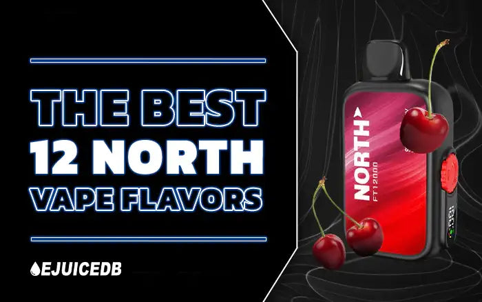 Blog The Best 12 North Vape Flavors