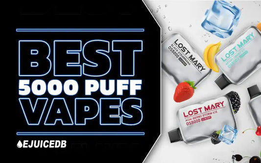 Blog The Best 5000 Puff Disposables