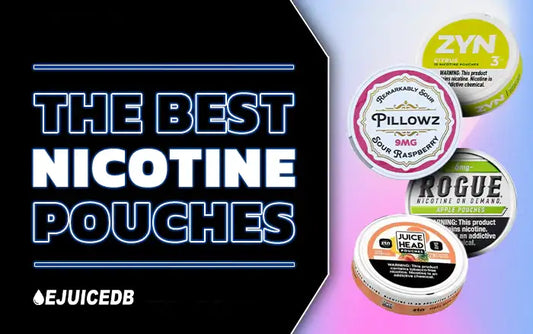 Blog The Best Nicotine Pouches