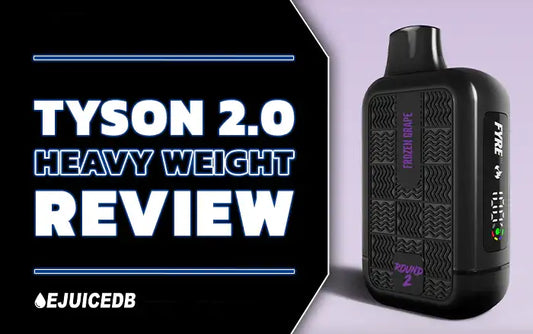 Tyson Heavyweight 2.0 Review