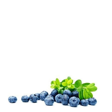 Blueberry Flavored eJuice/eLiquid